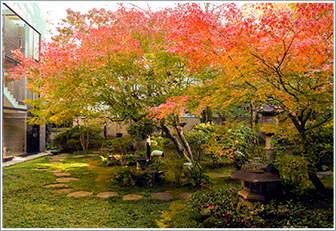松岡美術館内に佇む庭園の写真